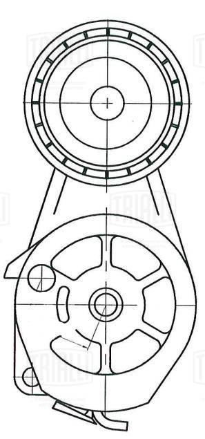 Intinzator curea, curea distributie CM 6018 TRIALLI